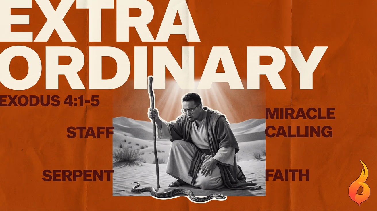 Extra Ordinary